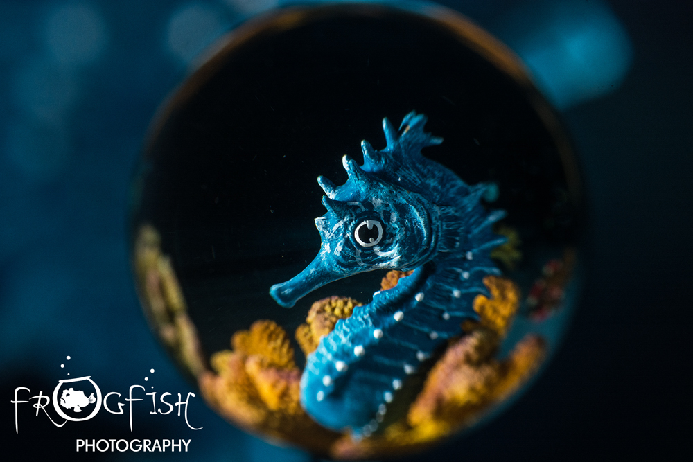 Saga Magic Ball—Underwater Macro Fisheye Lens - Underwater