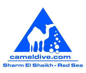 Camel triangle with webSSH hi res 300x255