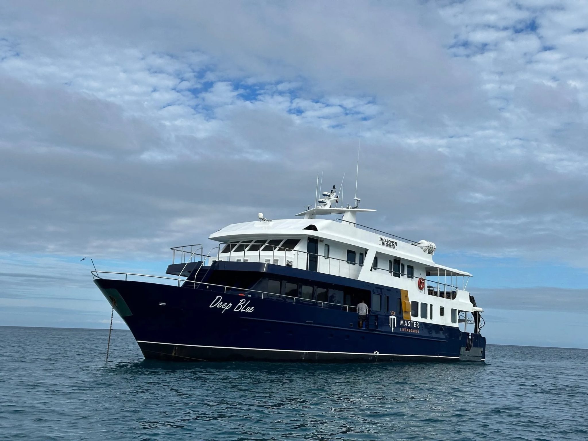 liveaboard deals