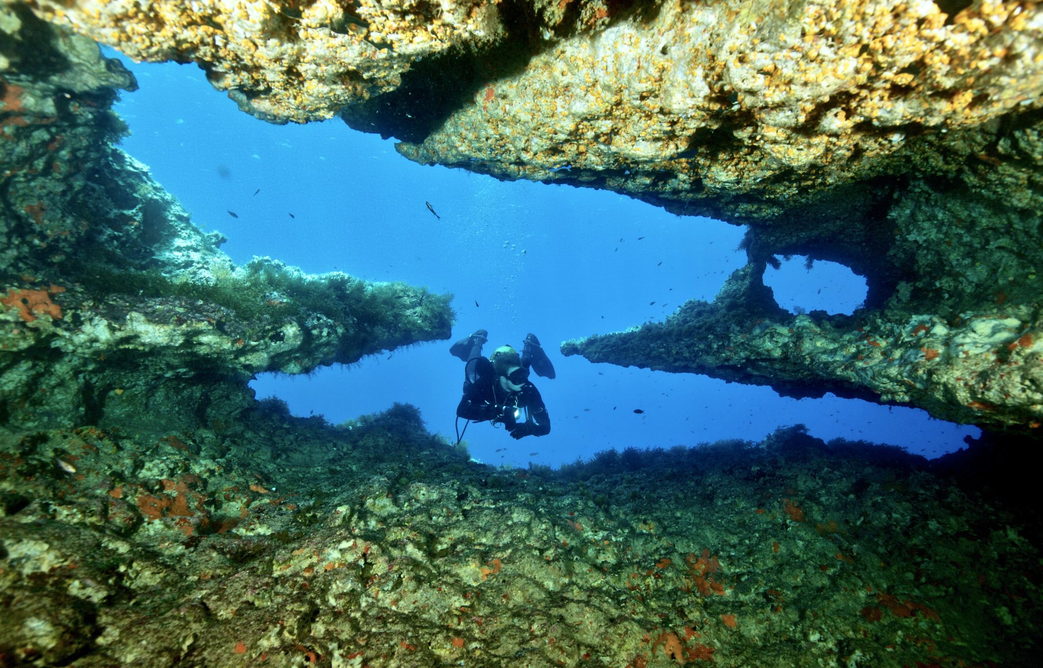 diving in malta