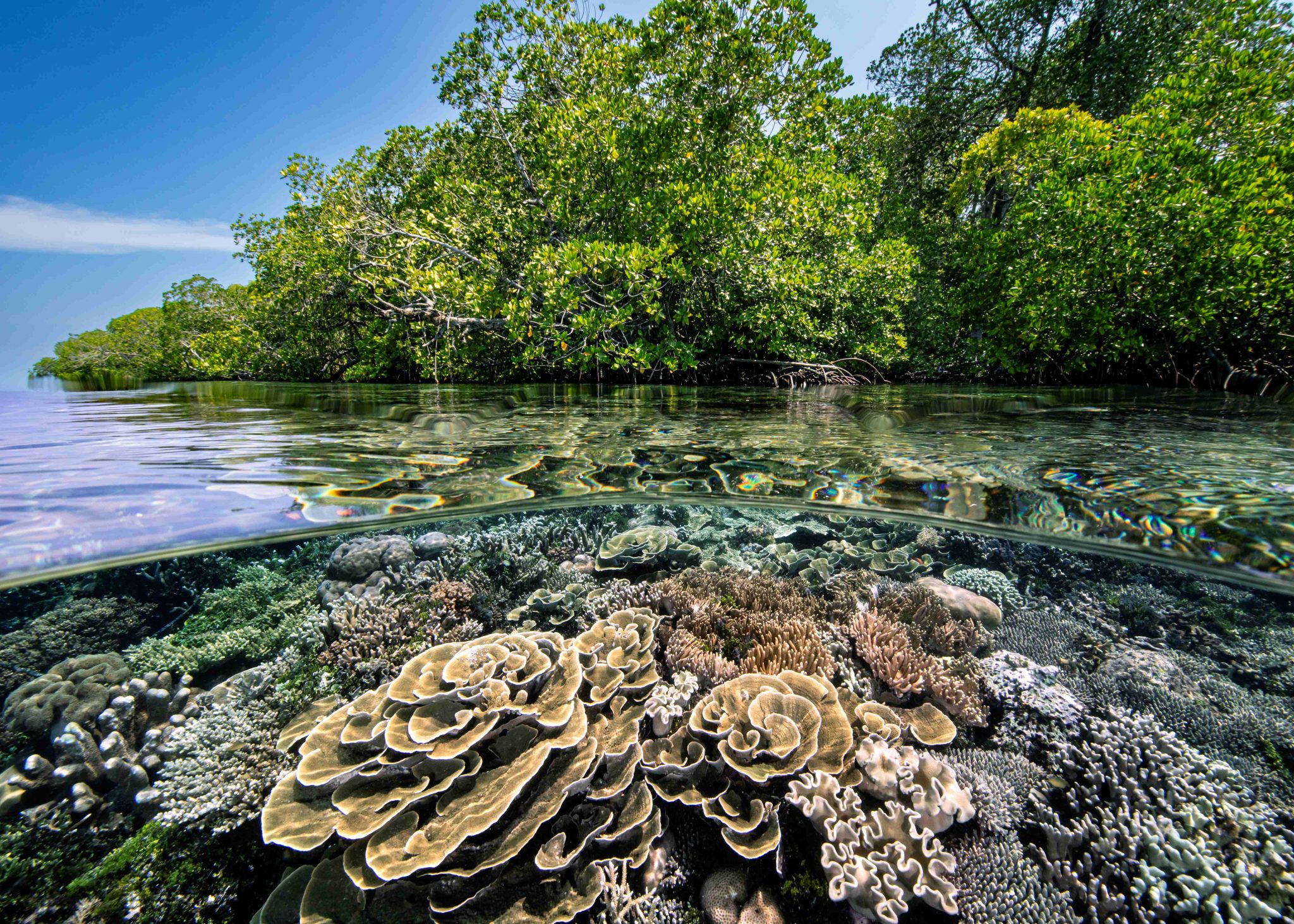 raja ampat