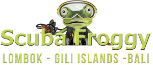 LOGO SCUBA FROGGY LGIB 300x128