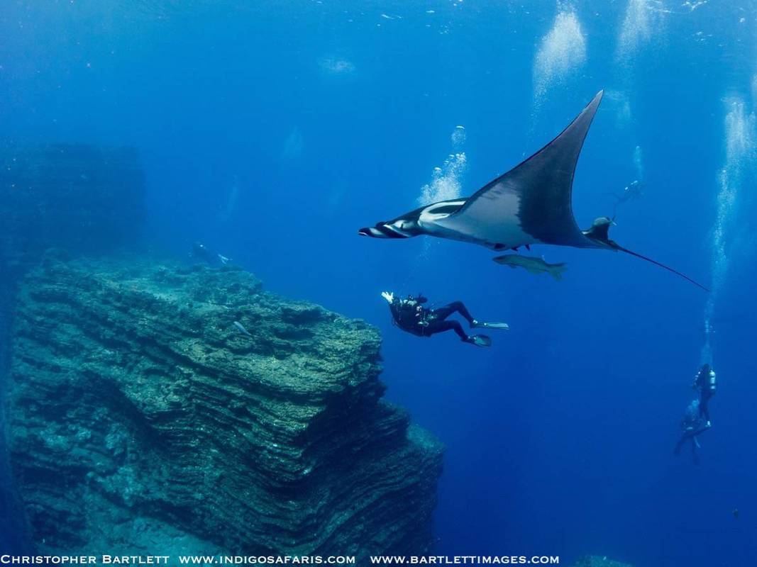 Revillagigedo Islands