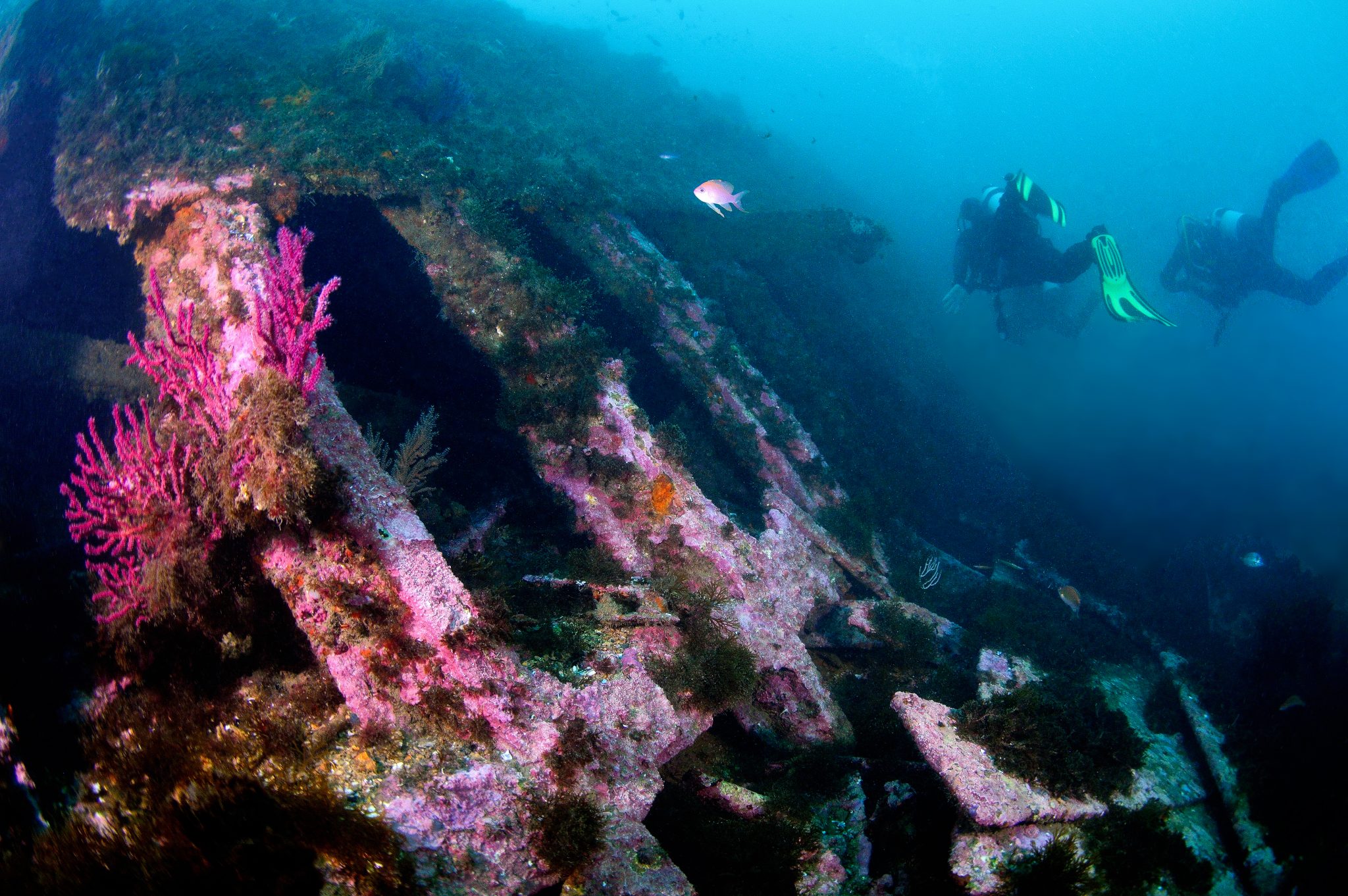 diving gibraltar