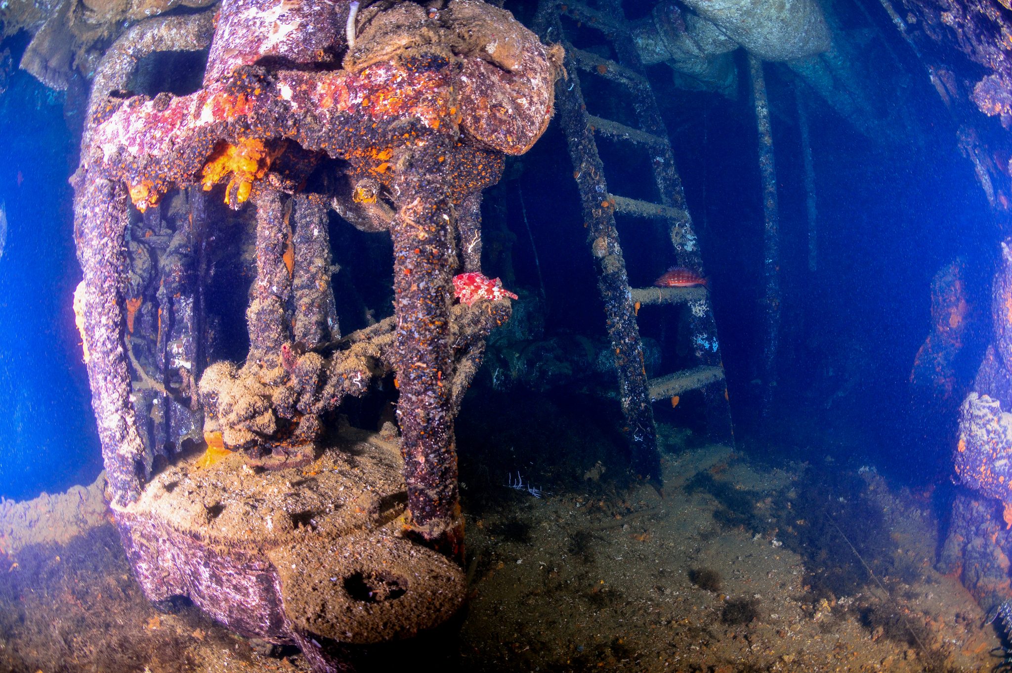 diving gibraltar