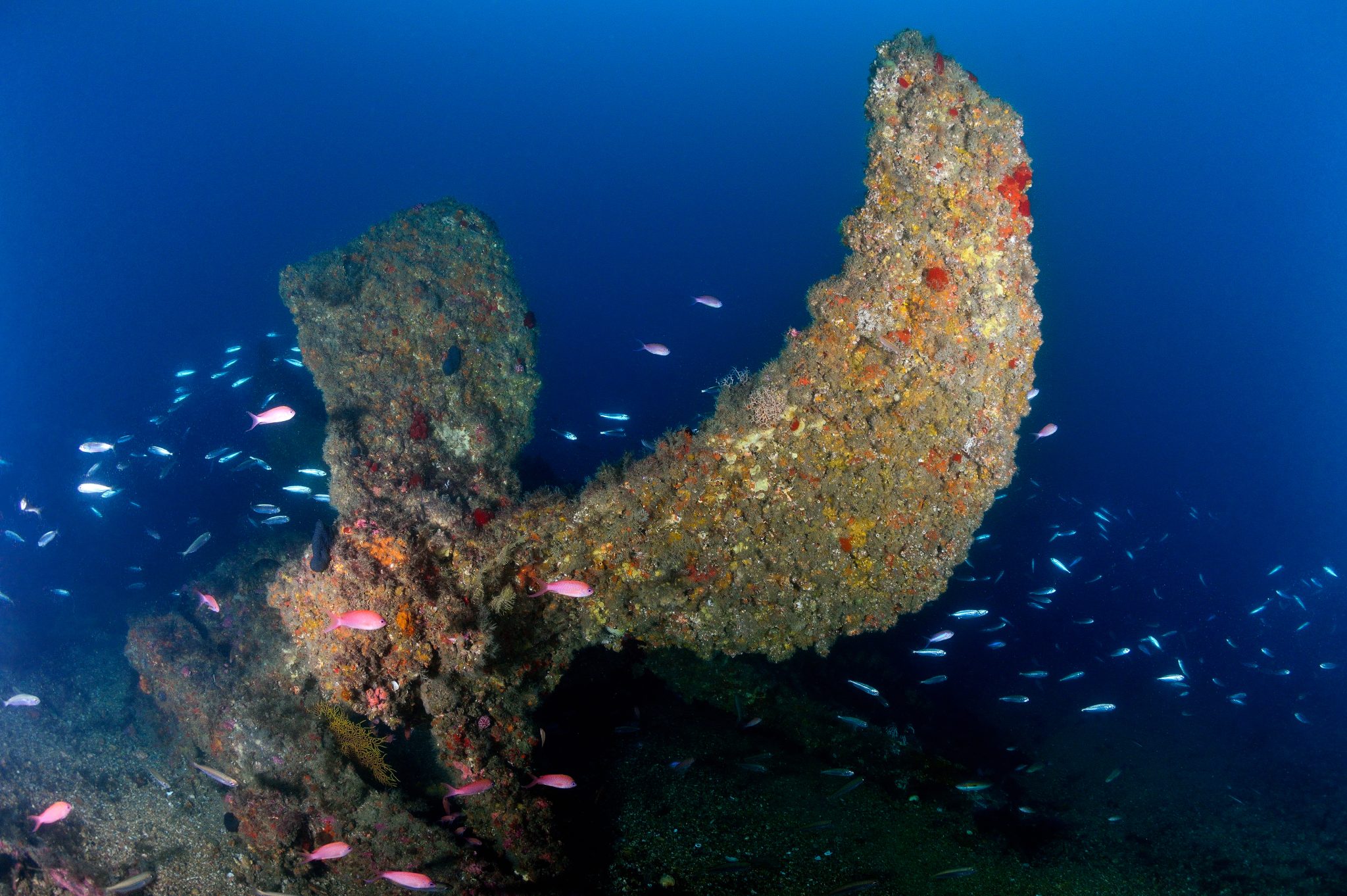 diving gibraltar