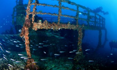 diving gibraltar