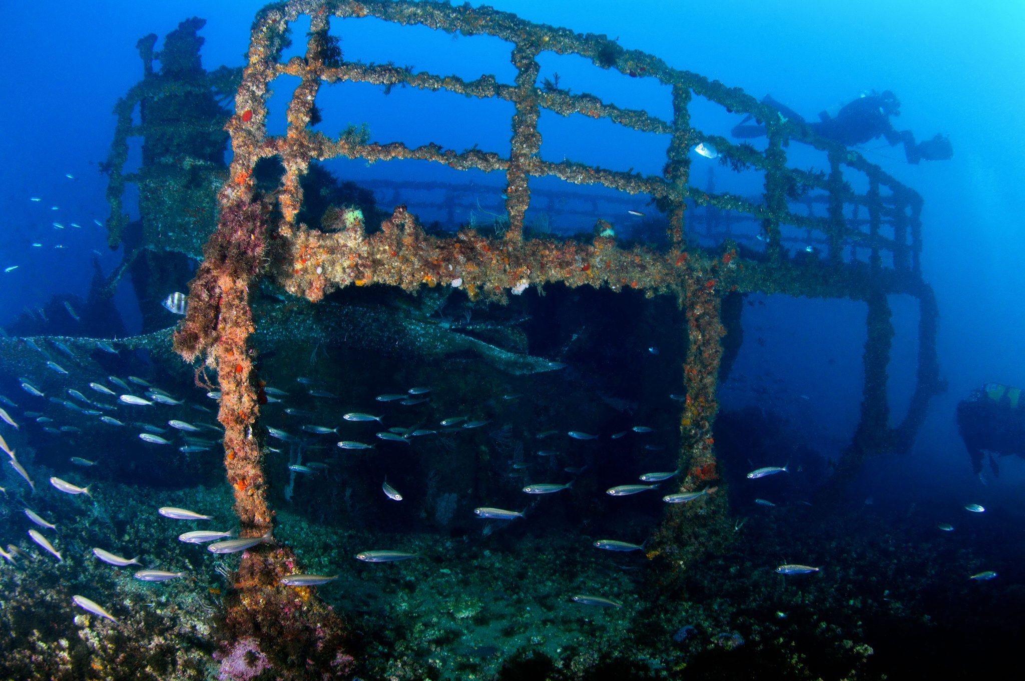 diving gibraltar