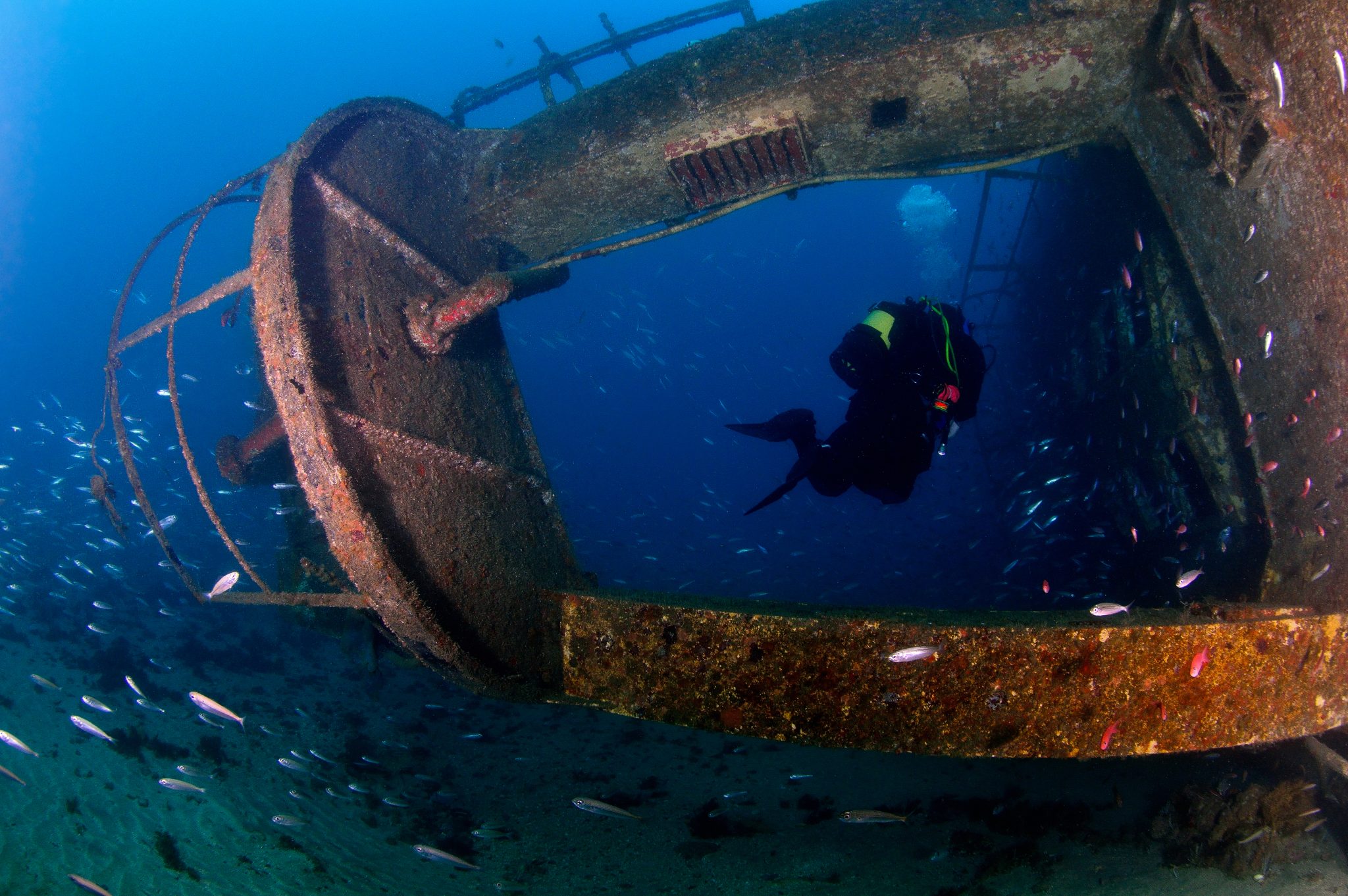 diving gibraltar