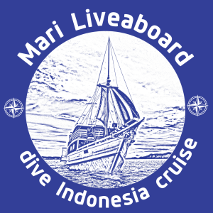 MARI Logo blue square 004 300x300