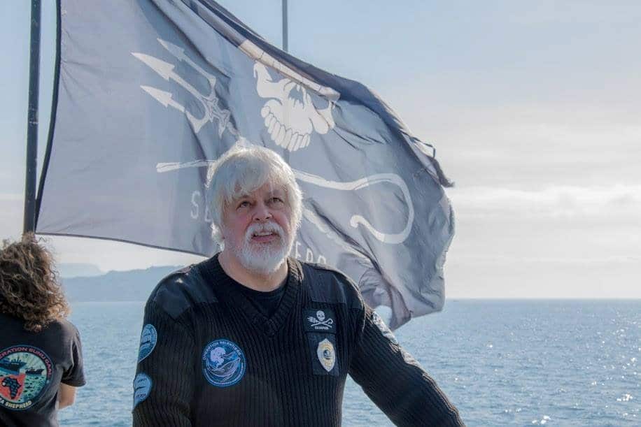 paul watson