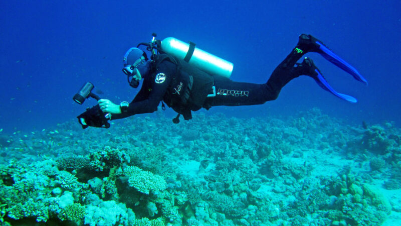 underwater videography