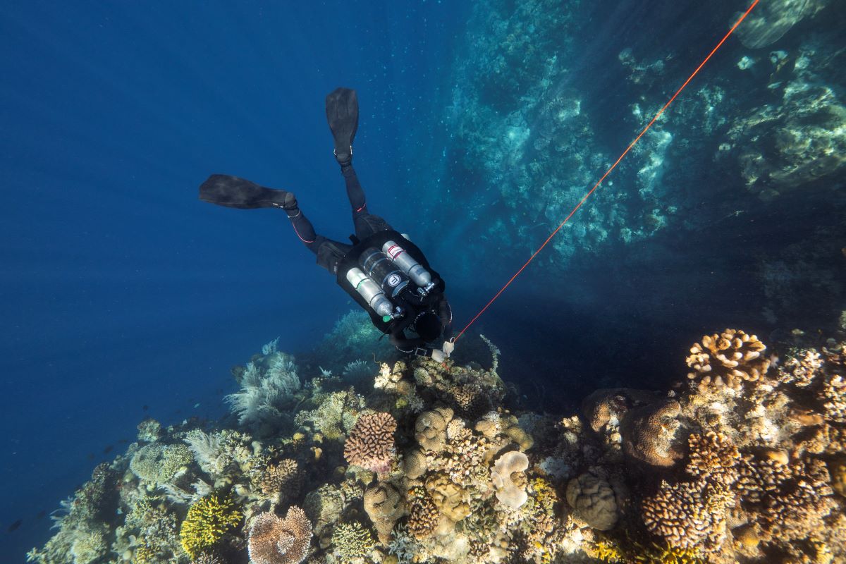 bunaken