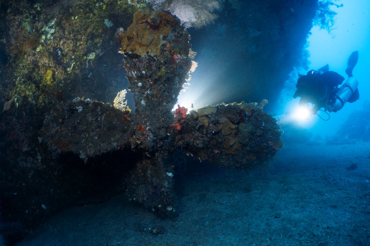 bunaken