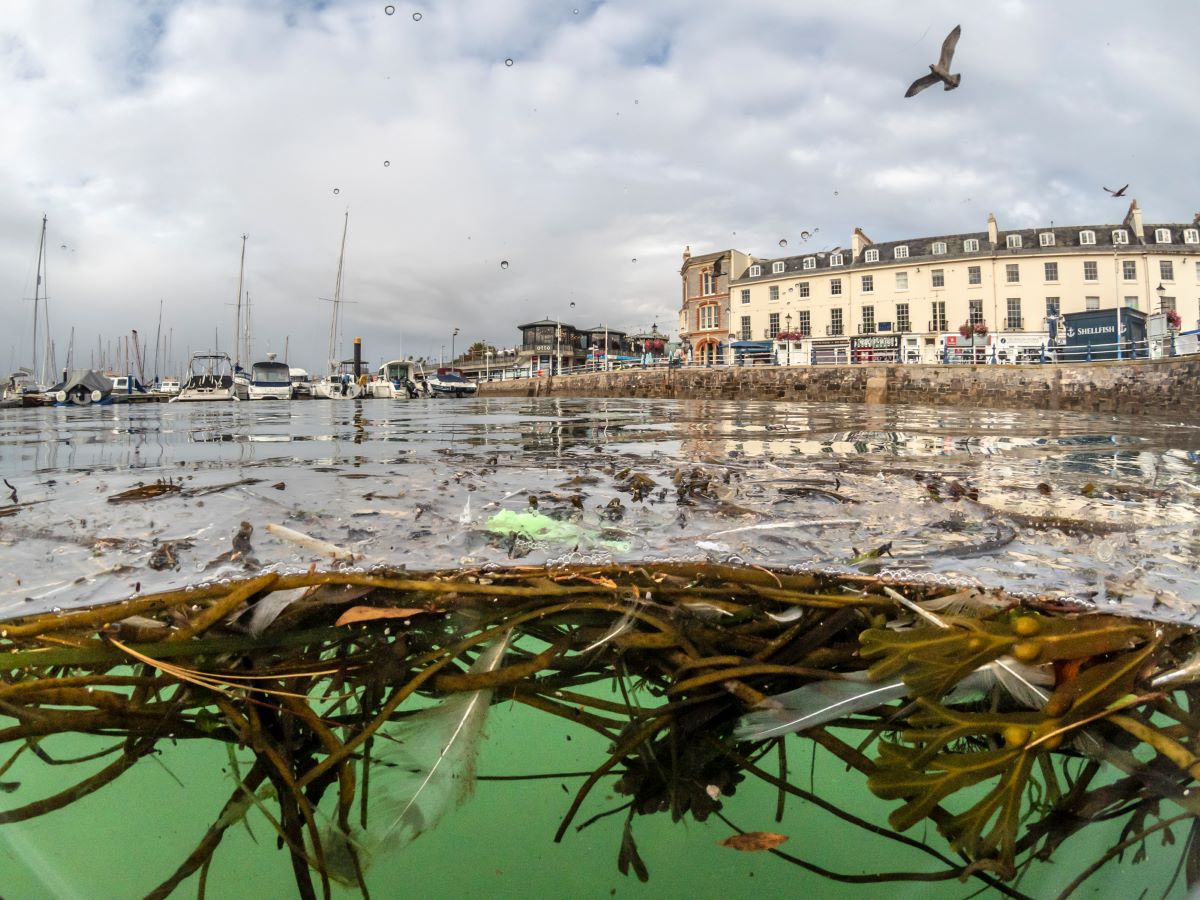 British & Irish Underwater Photography Championship