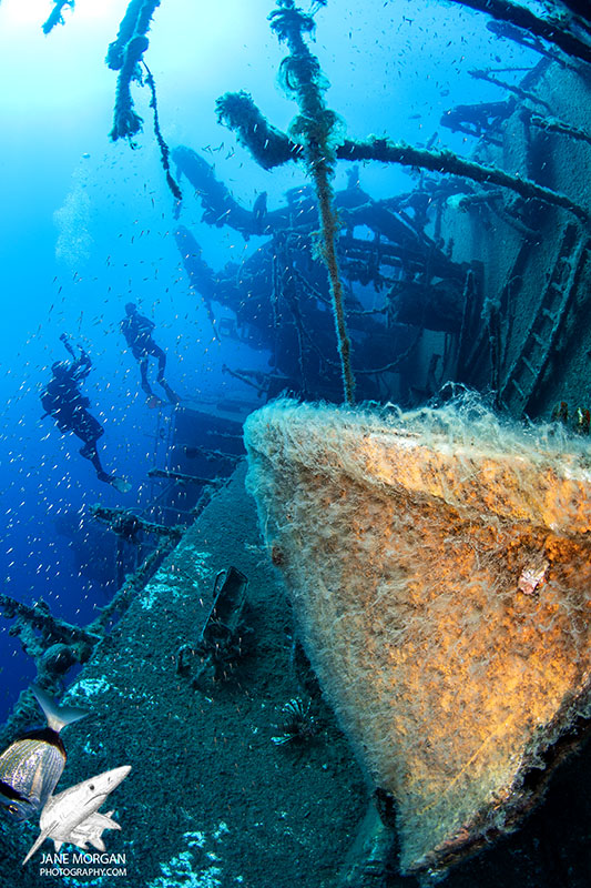 Zenobia