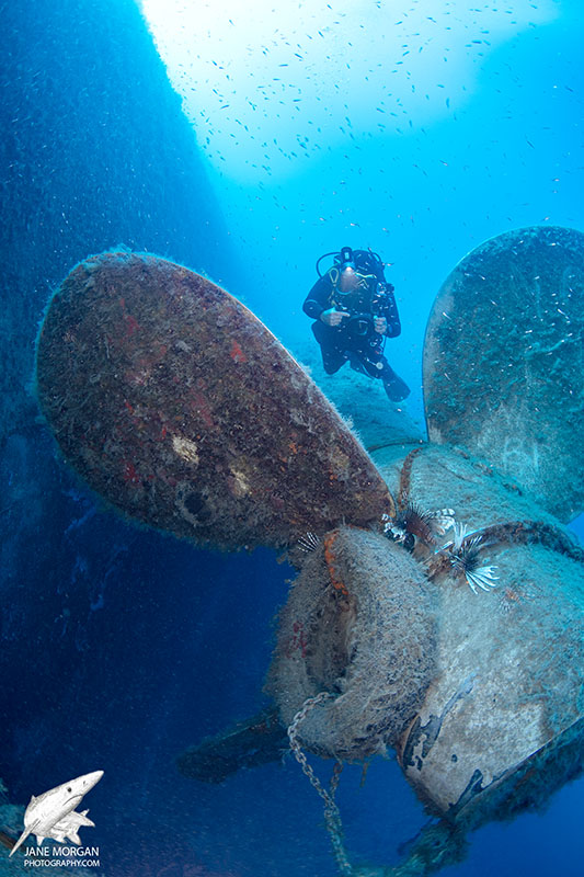 Zenobia