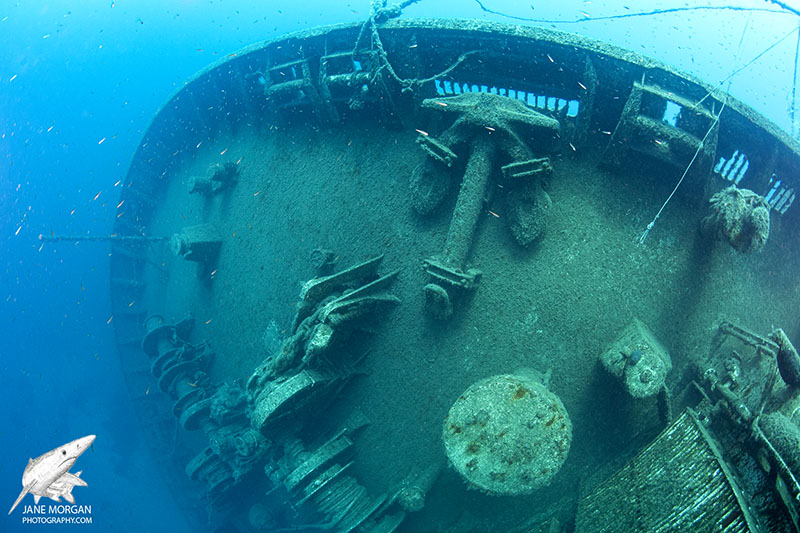 Zenobia