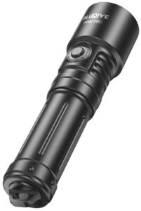 dive torch