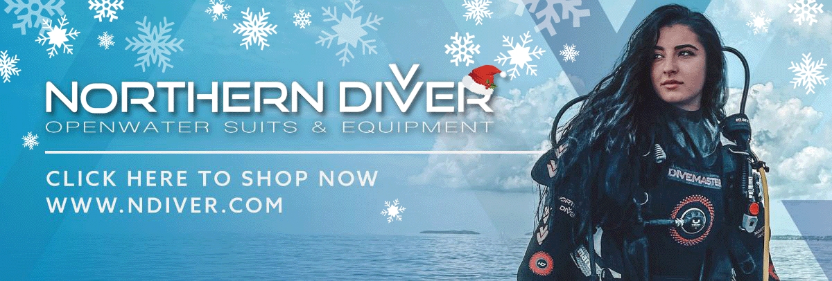 Northern Diver Christmas Sale