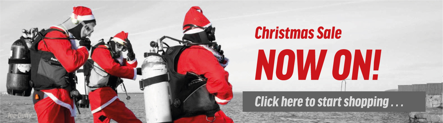 Northern Diver Christmas Sale