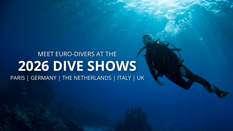 dive shows