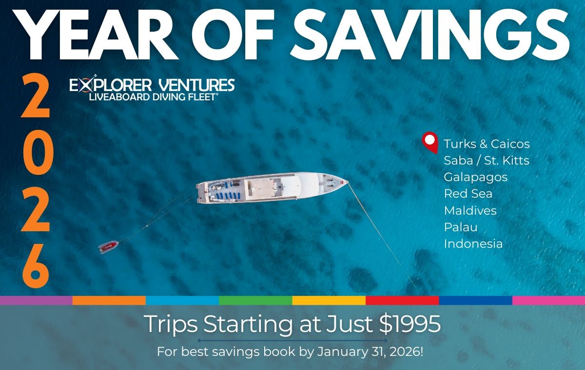 Explorer Ventures