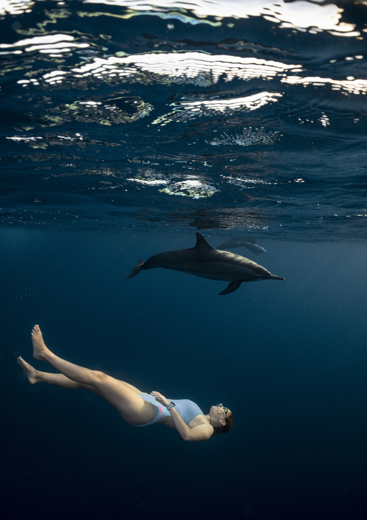 Underwater Photography Exhibition