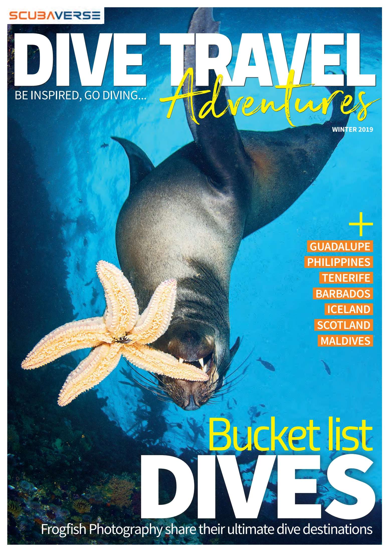 DIVE TRAVEL ADVENTURES WINTER 2019