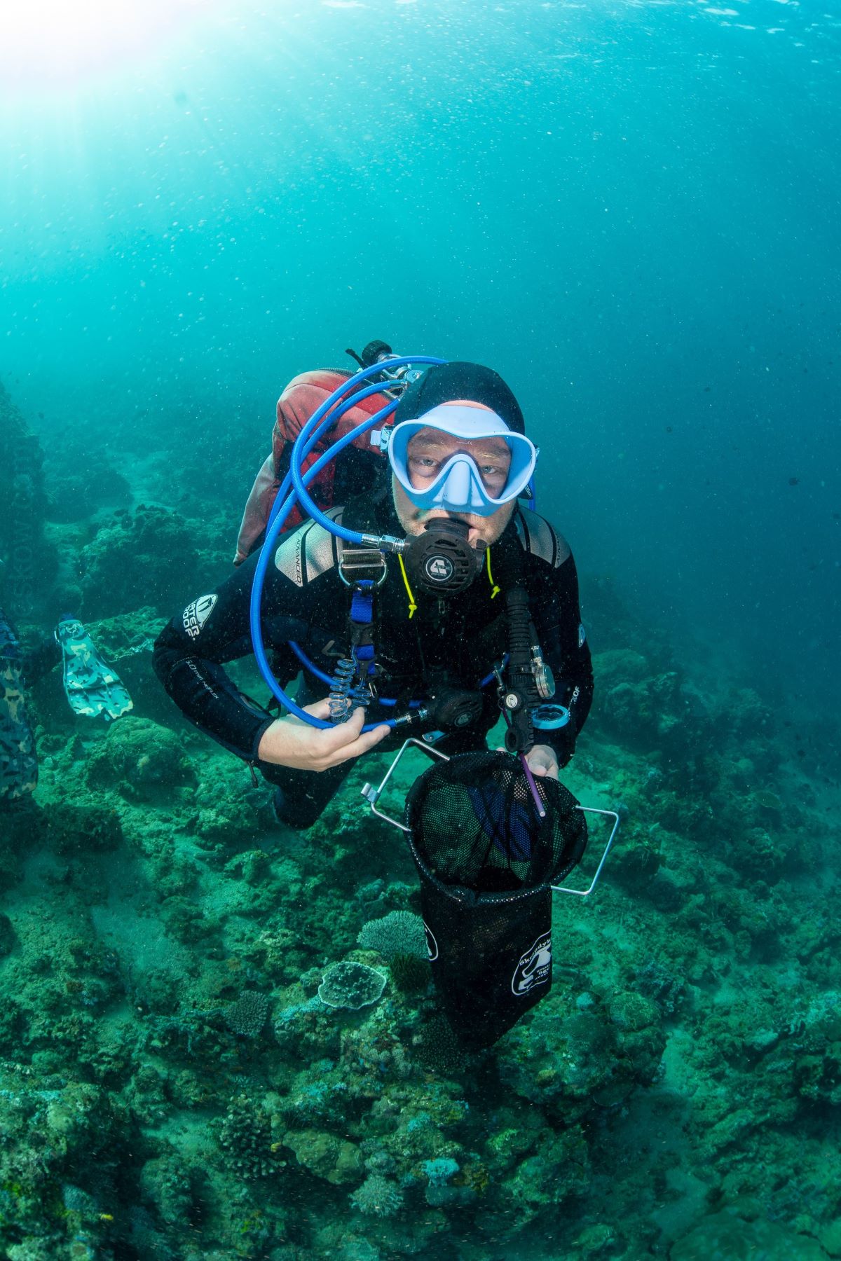 Anilao