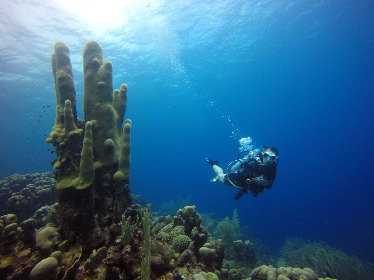 Curacao