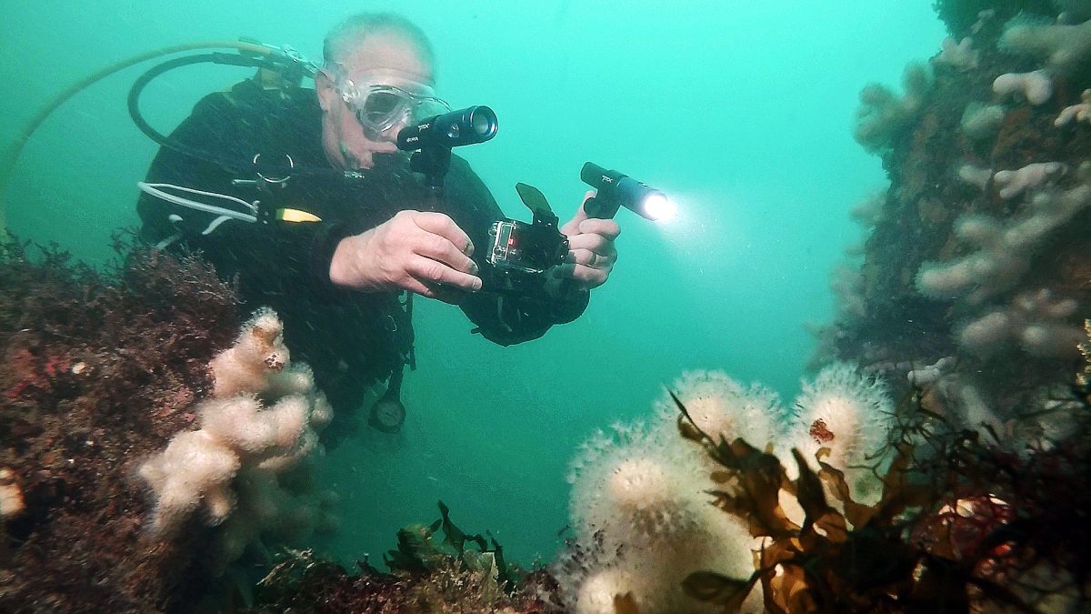 Underwater Video