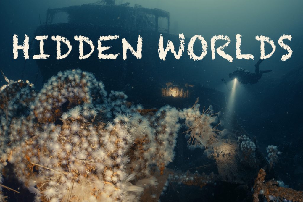 Hidden Worlds