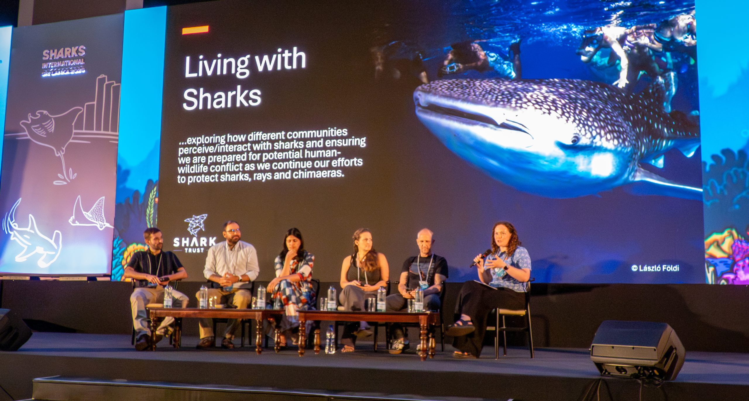 Living with Sharks