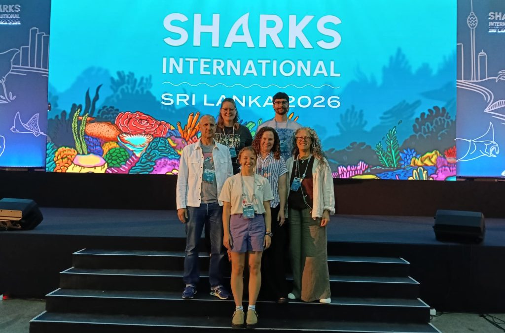 Sharks International
