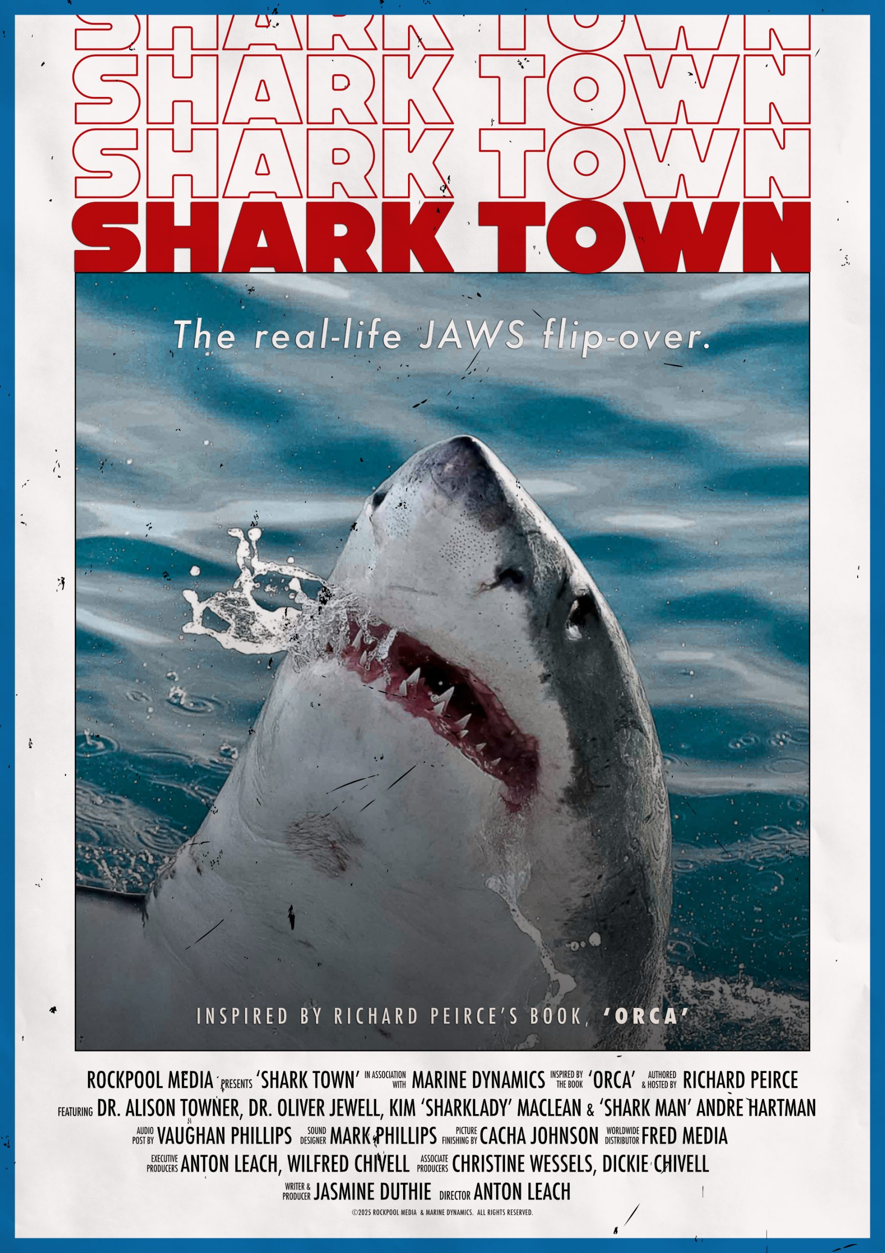 Shark Town