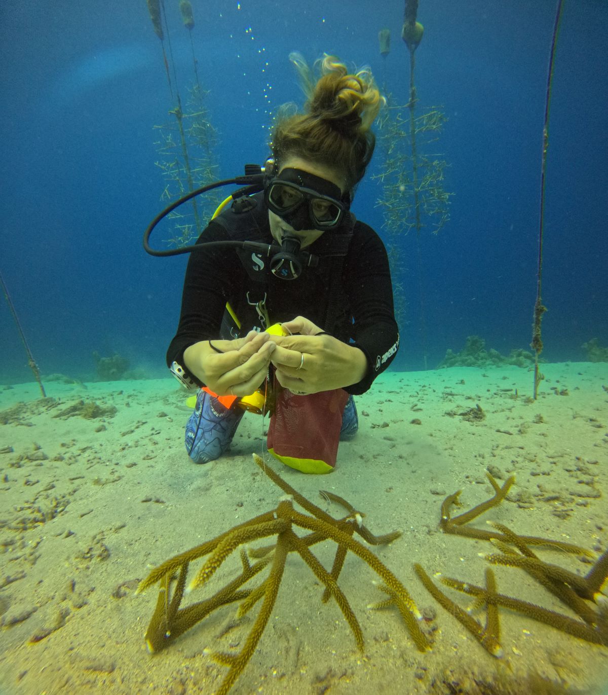 Curacao