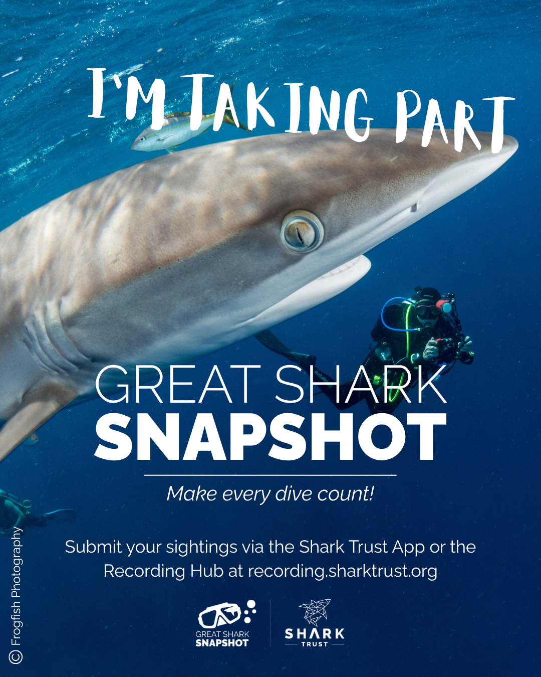 Great Shark Snapshot