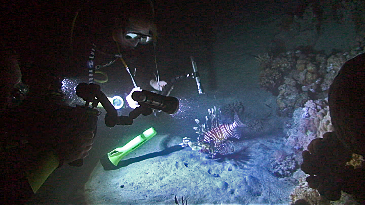 action camera course
