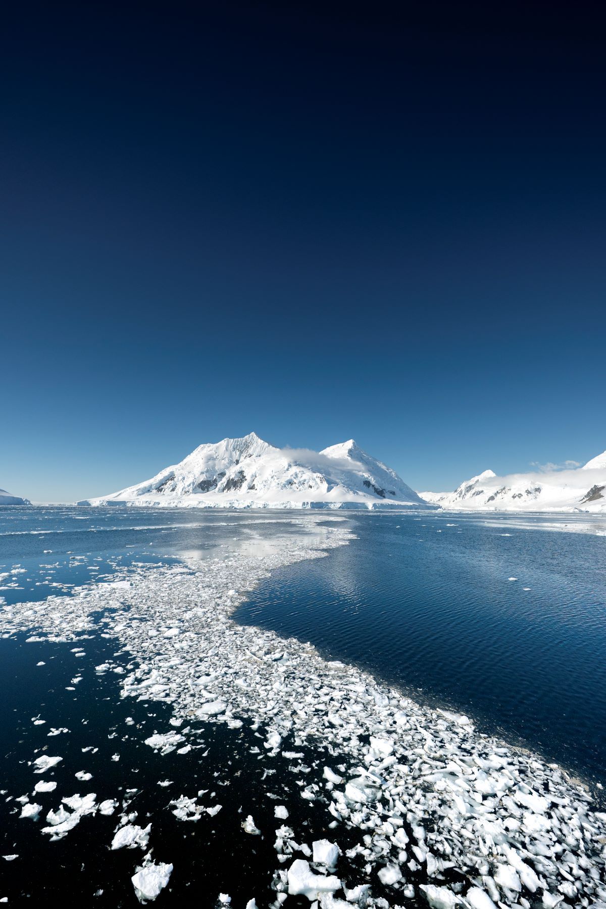 Dive Antarctica