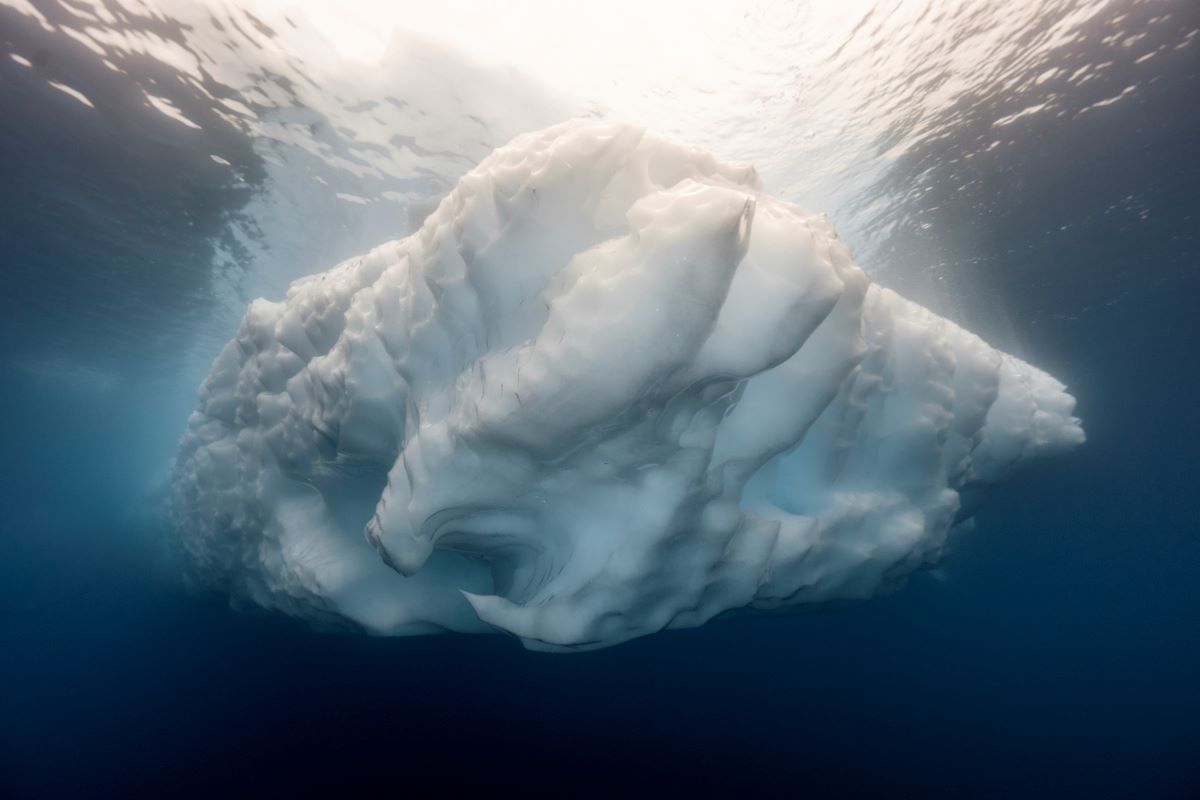 Dive Antarctica