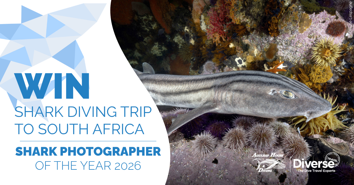 Win a trip to South Africa