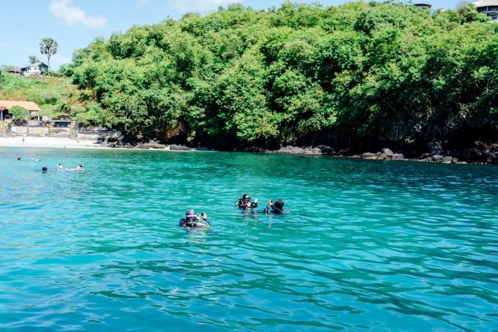 absolute scuba bali