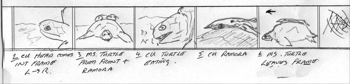 Action Camera