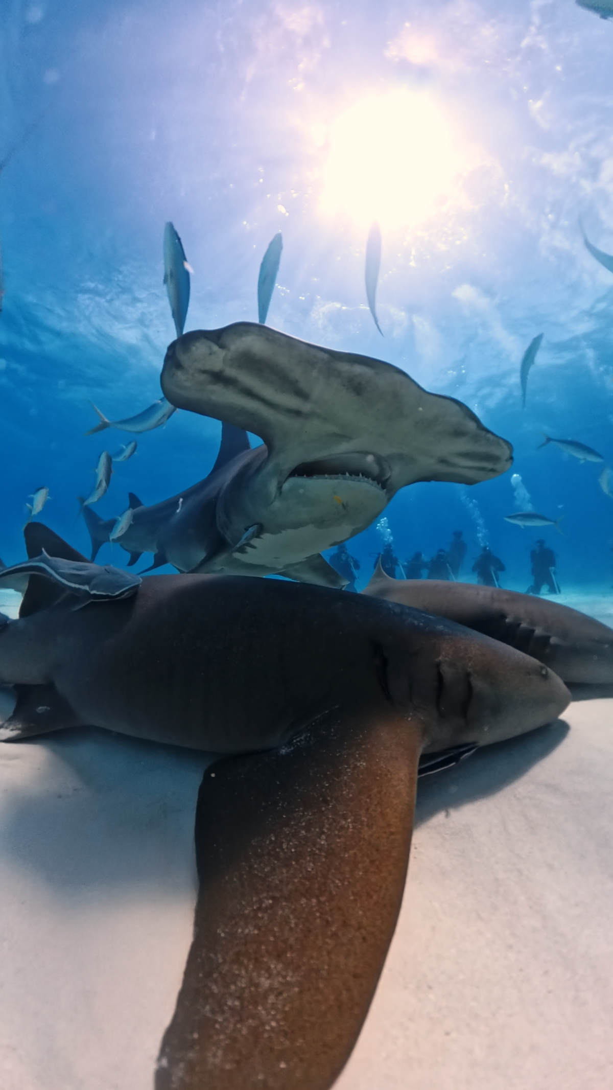 Insta360