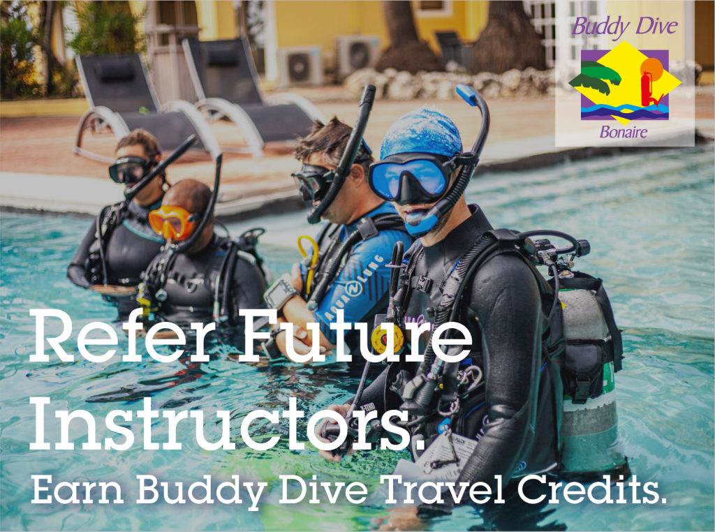 Buddy Dive Academy