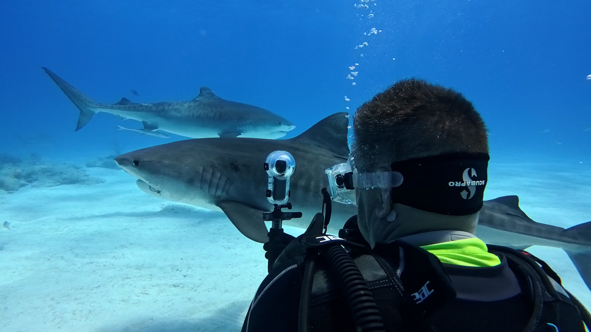 Insta360
