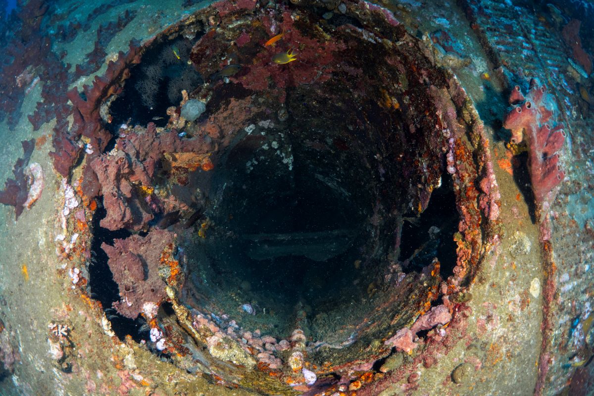 Bunaken Oasis Dive Resort