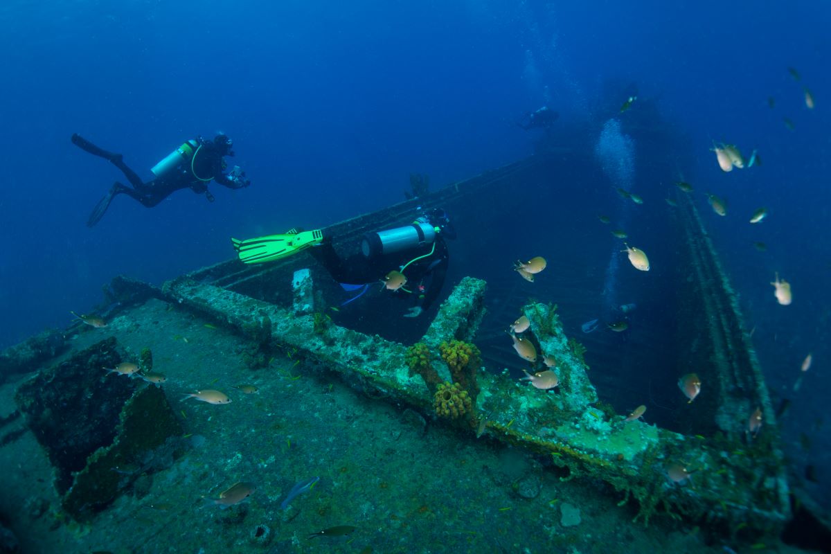Dive Into Grenada