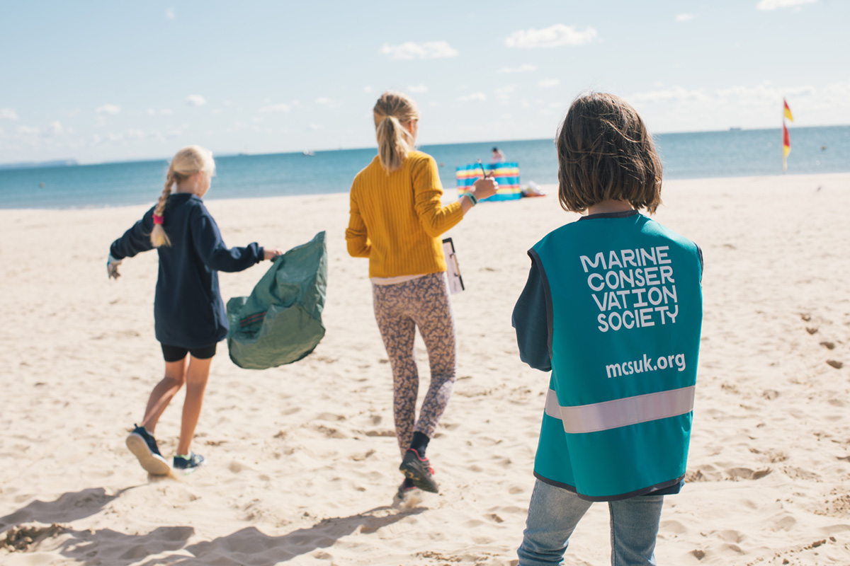 beach clean